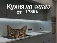 Кухня на заказ