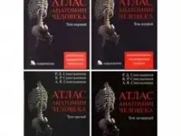 Атлас анатомии человека Синельников