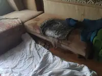 Уборка после трупа