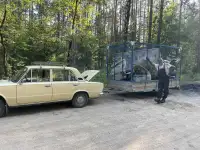 Вырубка деревьев ,обрезка ., фотография 8