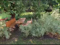 Гостевой дом В гостях у Маши, район, Слободковский сс, д. Шауры, д. 6, фотография 9