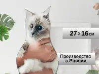 Инфографика  графический дизайнер карточек товаров для маркетплейсов WB, OZON, фотография 12