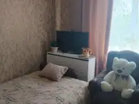 Сдам посуточно, фотография 2