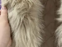 Зимнее пальто натуральный мех 48-50, фотография 4