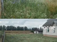 Покос травы/бурьяна/кустов Волковыск и пригород, фотография 5