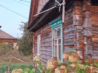Продам дом, Гомельская область., ул. Ленинская, 118
