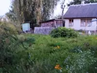 Продам участок, с/т 40 лет Октября, фотография 2