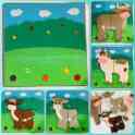Развивашки из фетра, фотография 8