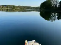 Сдам в аренду на сутки усадьбу Край Земли с баней на берегу озера, фотография 3