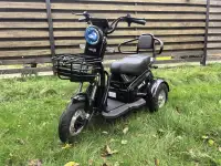 Электротрицикл TERAX BIGGY, фотография 2