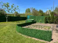 Калифорнийское полотно. Зеленый забор, фотография 7