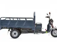 Грузовой электротрицикл rutrike титан 2000 60v1500w, фотография 3