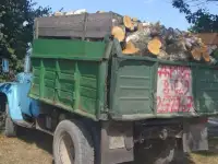 Дрова разных пород