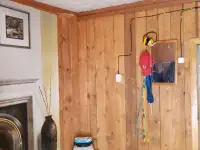 Продам, Деревня Железники Задровский с/с., фотография 8