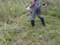 Обрезка деревьев. ПОКОС ТРАВЫ.НЕДОРОГО!!!, фотография 4