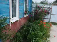 александр, полевая 9, фотография 5