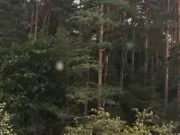 Продам дачу, Гродненская обл, горский р-н. д. Перелом с/и Юность, фотография 12