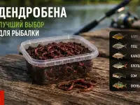 Червь Дендробена оптом в баночках и на вес, фотография 3