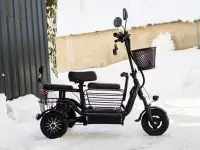 Электросамокат AVM DELTA TRIKE, фотография 2