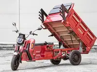 Грузовой электротрицикл rutrike антей pro 1500 60v1200w, фотография 4
