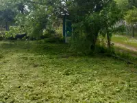 Покос травы, фотография 2