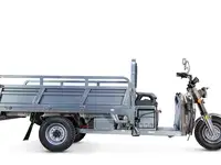 Грузовой электрический трицикл rutrike эксперт про плюс 2200, фотография 10