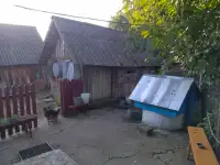 Продается деревянный дом с участком в д. Высокий Полк, Светлогорский р-н, Гомельская область, фотография 5