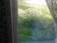 Дом в деревне, Барановичский р-н. Д. Цюконтовичи, фотография 7