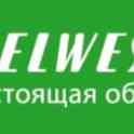 Продавец в магазин обуви
