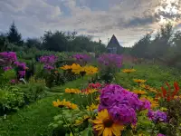 Продам дачу, Минская область деревня Стайки, фотография 2