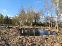 Продам участок земли на берегу озера, Поставский район