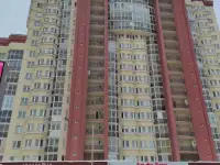 Собственник 30 сек метро новый дом