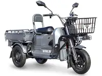 Грузовой электротрицикл rutrike баркас 740 60v1000w