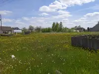 Участок и угловые блоки для фундамента на нем в Городке Витебской области, фотография 3