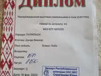 Щенки папильона, фотография 6
