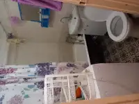 Подселение в комнату, 75$, фотография 5