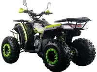 Квадроцикл racer freelander pro200 xmr (мотокомплект), фотография 5