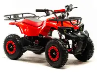 Квадроцикл электрический amoto e008 800w