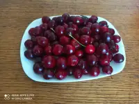 Черешня, фотография 2