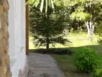Дом шале на опушке леса, Беларусь, Минская область, Пуховичский район, Шацкий сельский совет, деревня Ста, фотография 7