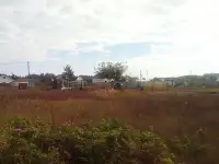 Участок 6.5 сот. Гомельский р-н, д. Чкалова, СТ Глушец, фотография 5