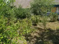 Продам дом с участком, д. мылые Завшицы, фотография 3