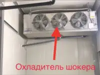 Продаю, ищу партнеров или инвесторов на действующий бизнес по выращиванию грибов шампиньонов и вешенки., фотография 7
