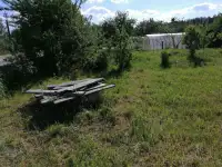 Дачный участок, фотография 4