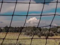 Домик с сауной на берегу озера на сутки, д. Коловцы ул. Озерная 5, фотография 4