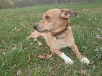 Бетти ищет дом и любящую семью