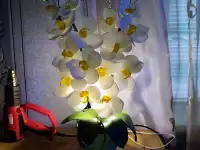 Светильники, фотография 11