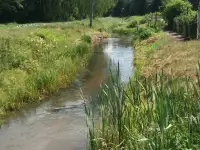Продаю дом (Вилейка), д. Беловоротица, ул. Лесная, д.5, фотография 8