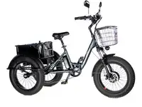 Электровелосипед трицикл e-motions panda 750w