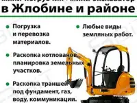 Услуги миниэкскаватора в Гомельской и Могилевской областях, фотография 10